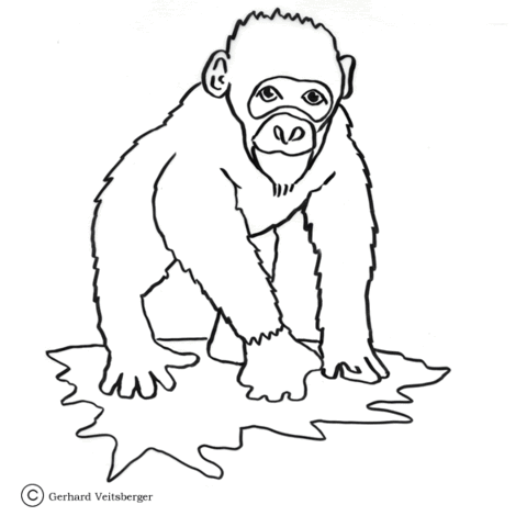 Chimp Ape Coloring Page